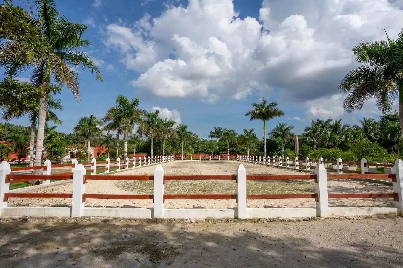 Вилла Hacienda Zunzal - Weddings, Events & Large Groups! Леона-Викарио