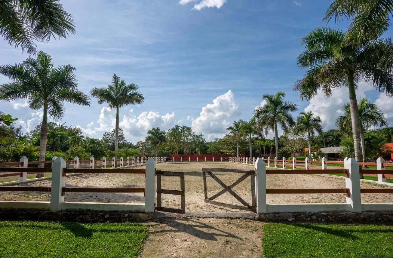 Вилла Hacienda Zunzal - Weddings, Events & Large Groups! Леона-Викарио
